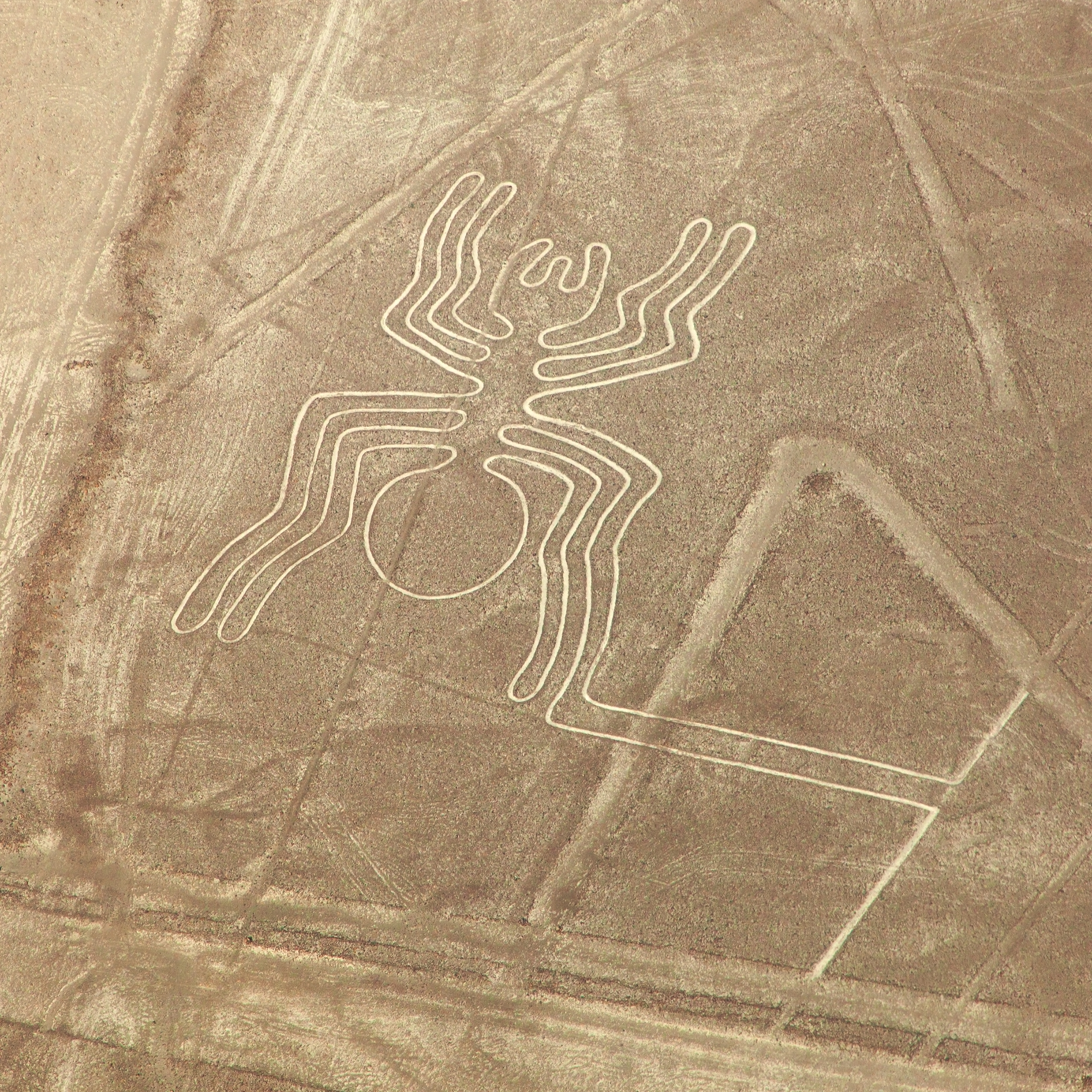 Nazca