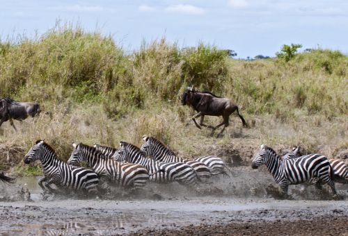 Tanzania