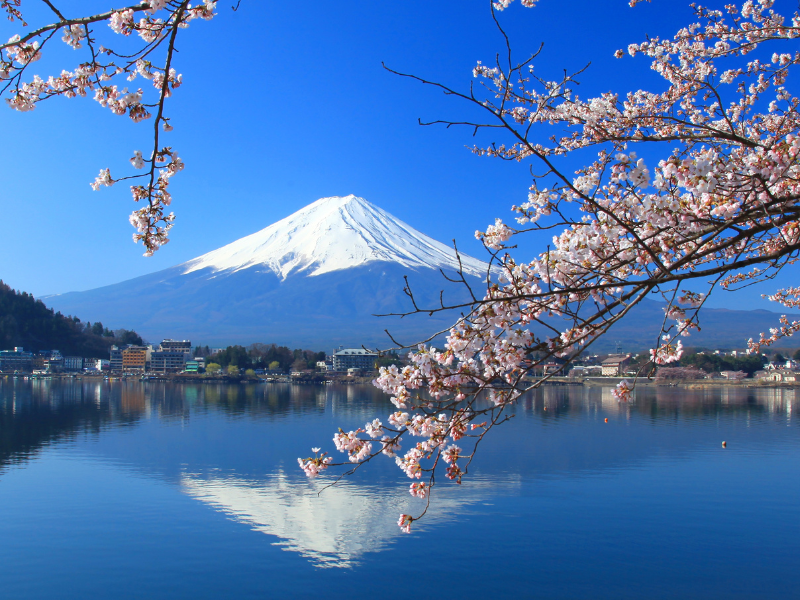 Góra Fuji