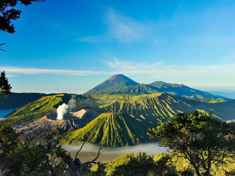 Bromo