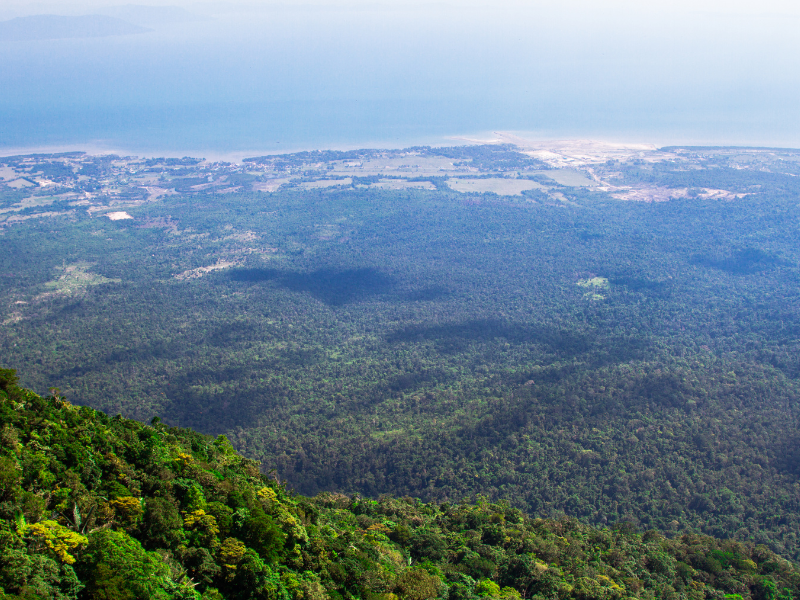 Park Narodowy Bokor