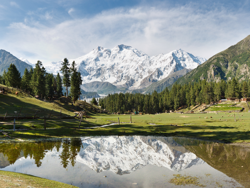 Park Narodowy Fairy Meadows