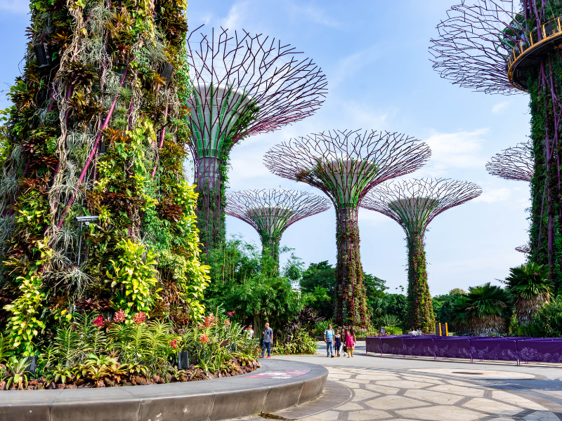 Gardens by the Bay