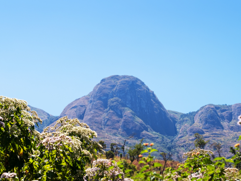 Góra Mulanje