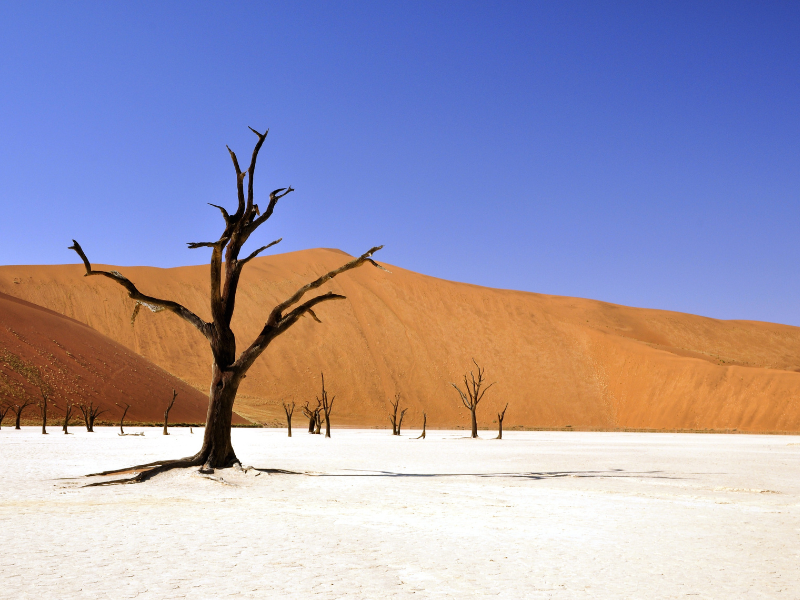 Deadvlei