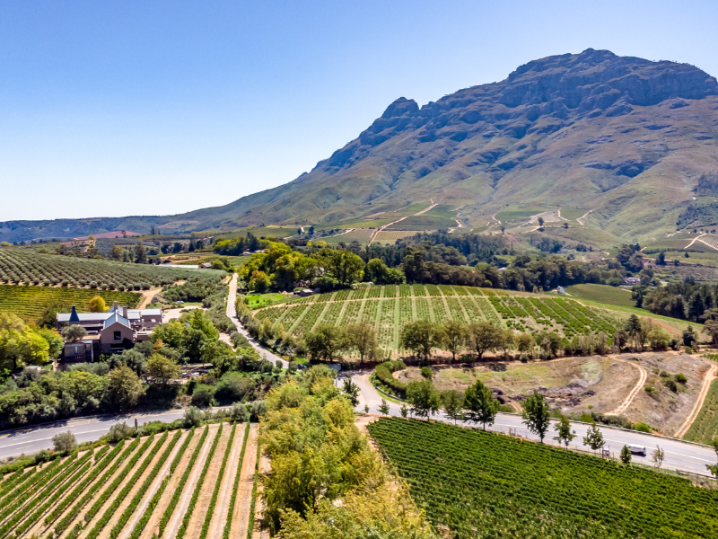 Winnice Stellenbosch