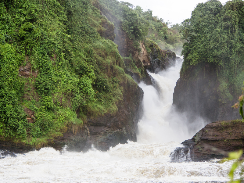 Park Narodowy Murchison Falls