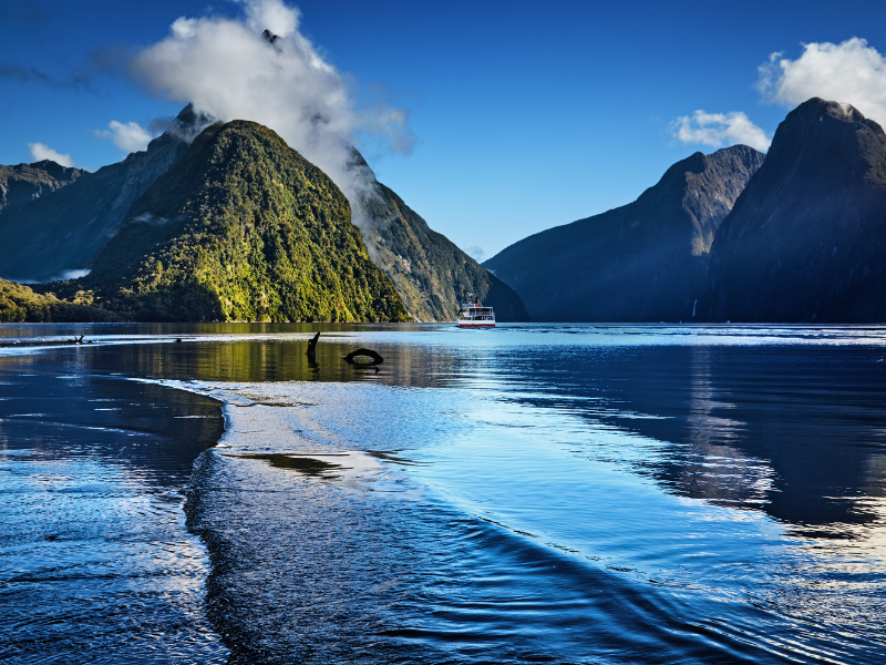 Fiordland