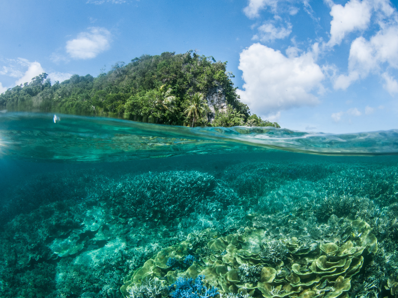 Milne Bay