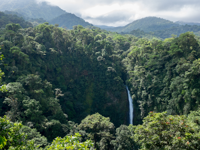 Las Monteverde