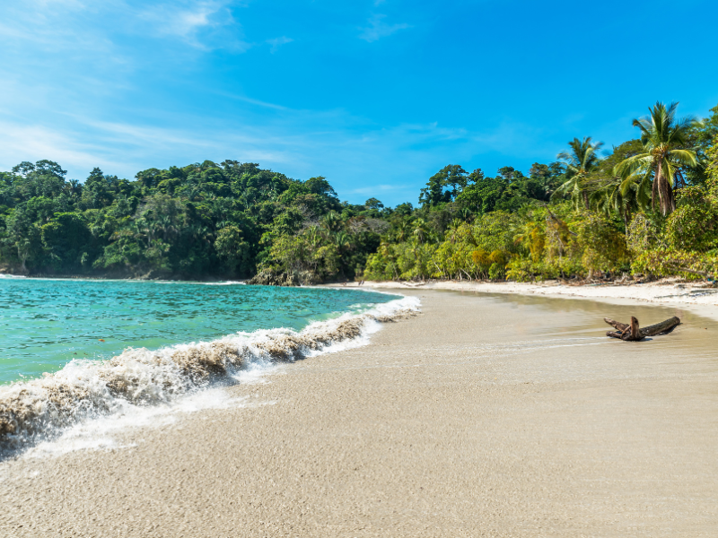 Manuel Antonio