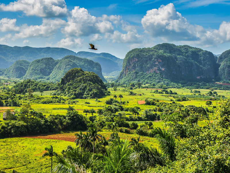 Dolina Viñales