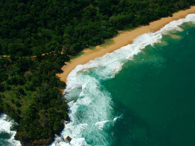 Bocas del Toro