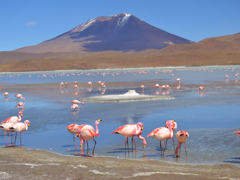 Salar de Uyuni