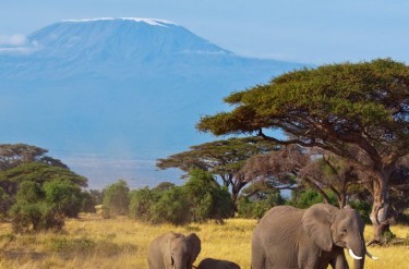 Jak zdobyć Kilimandżaro?